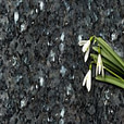 What gives granite its shine?